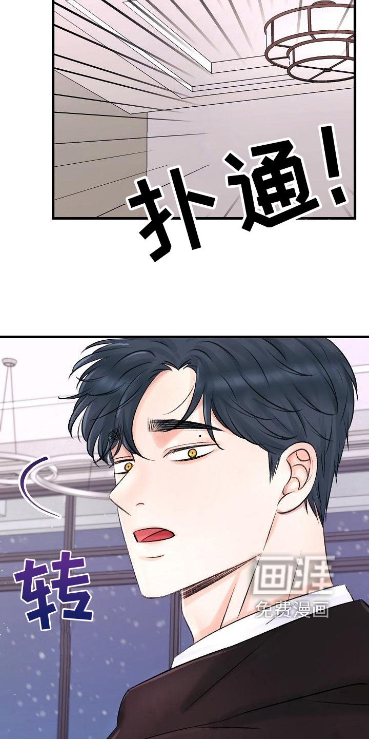 第14章：收留