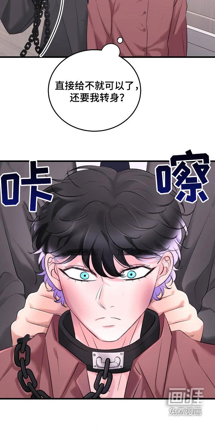 第31章：项圈