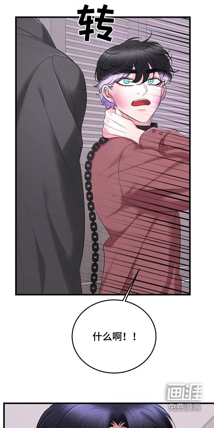 第31章：项圈