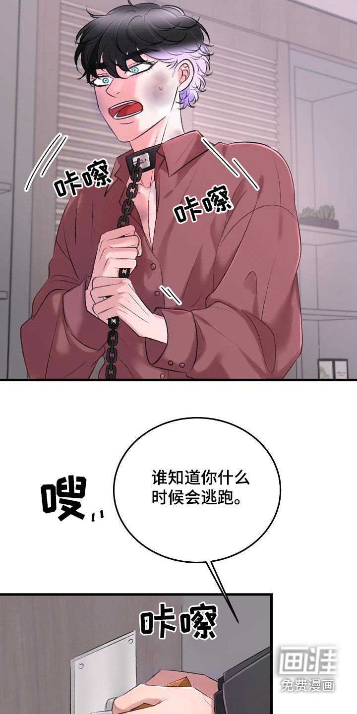 第31章：项圈