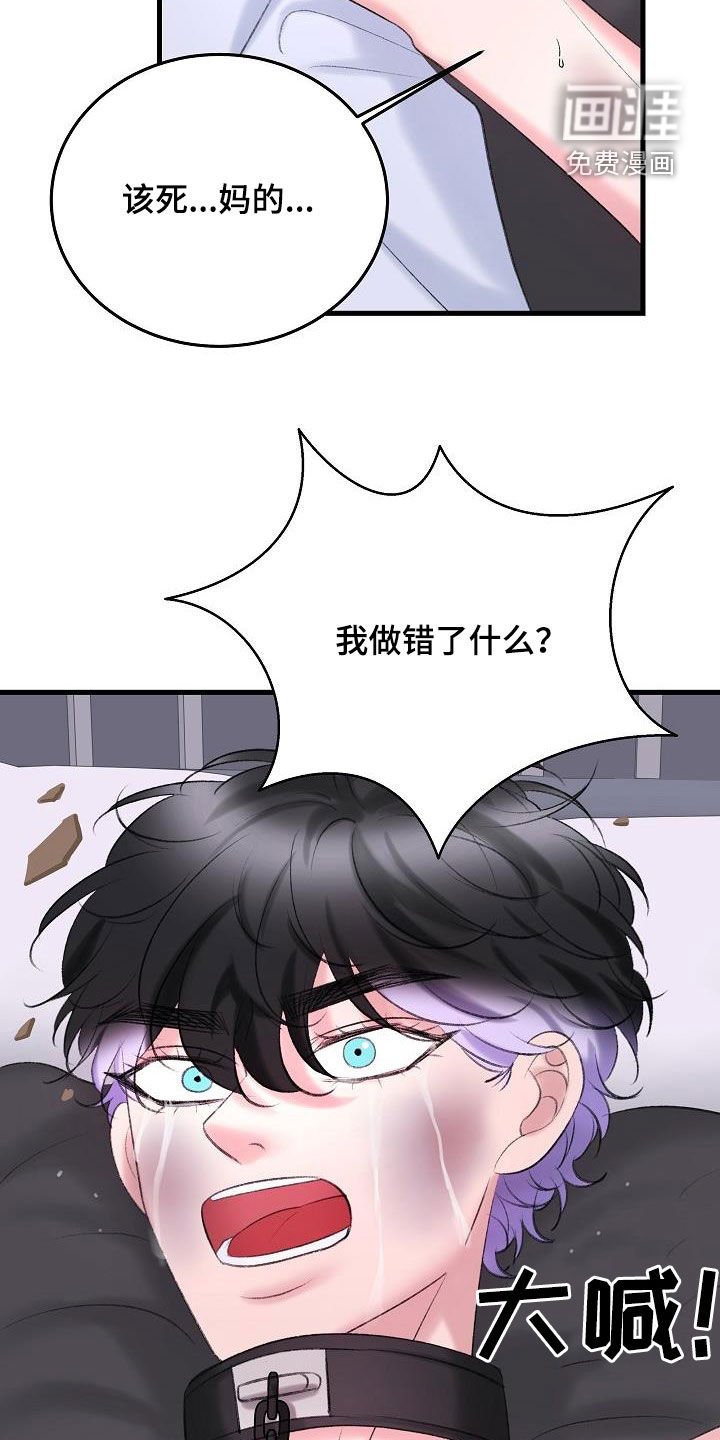 第36章：熟悉的声音