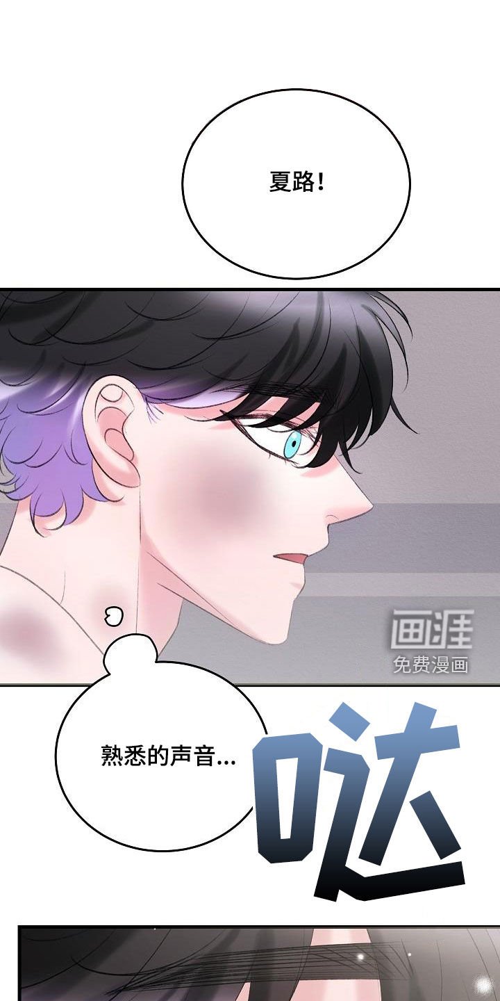 第36章：熟悉的声音