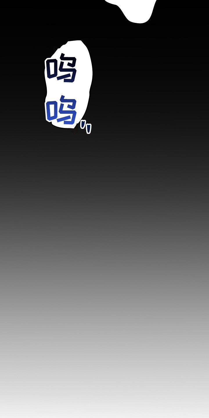 第60章：普通生活