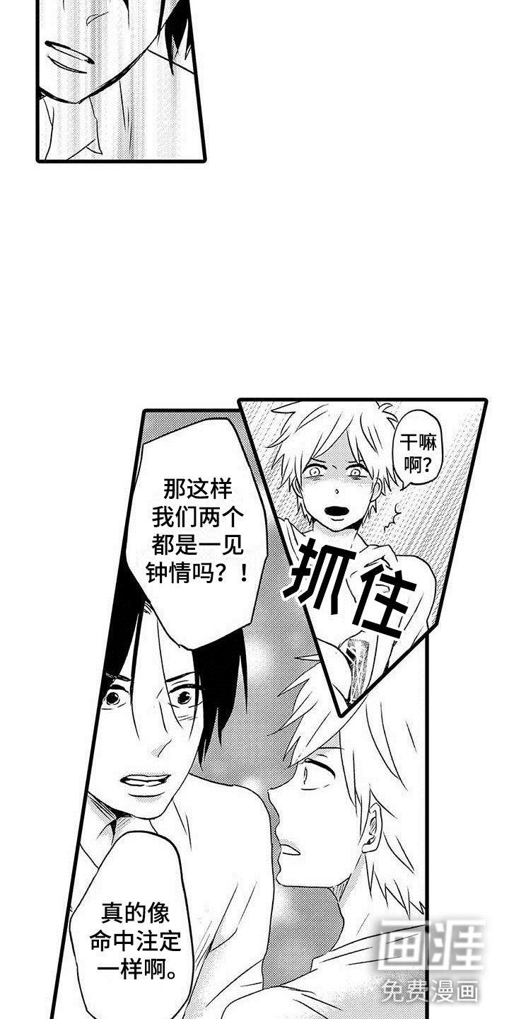 第11章：命中注定：一见钟情