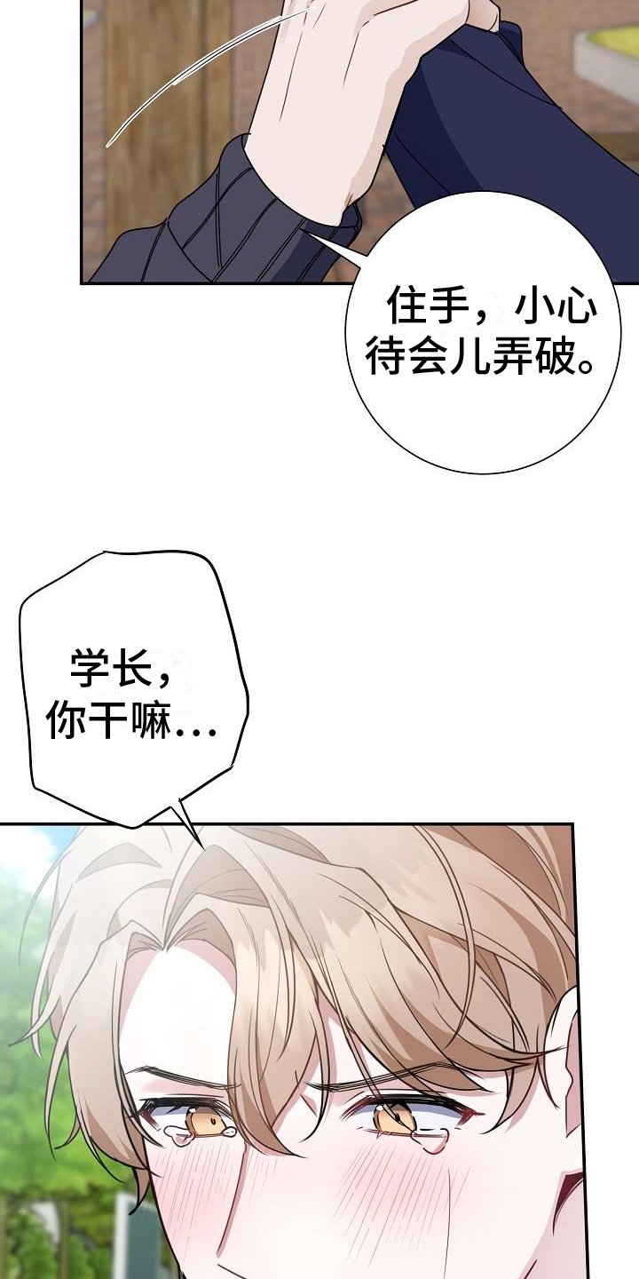 第1章：讨论