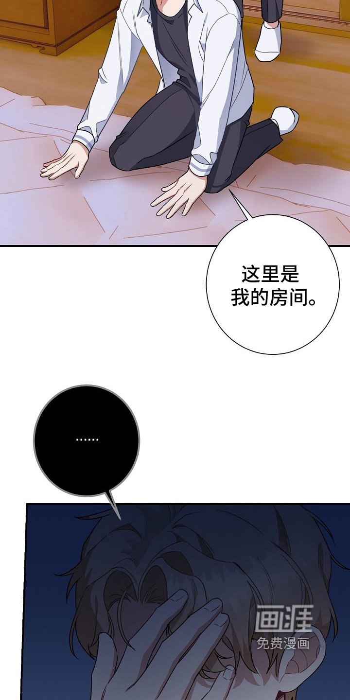 第13章：粉丝