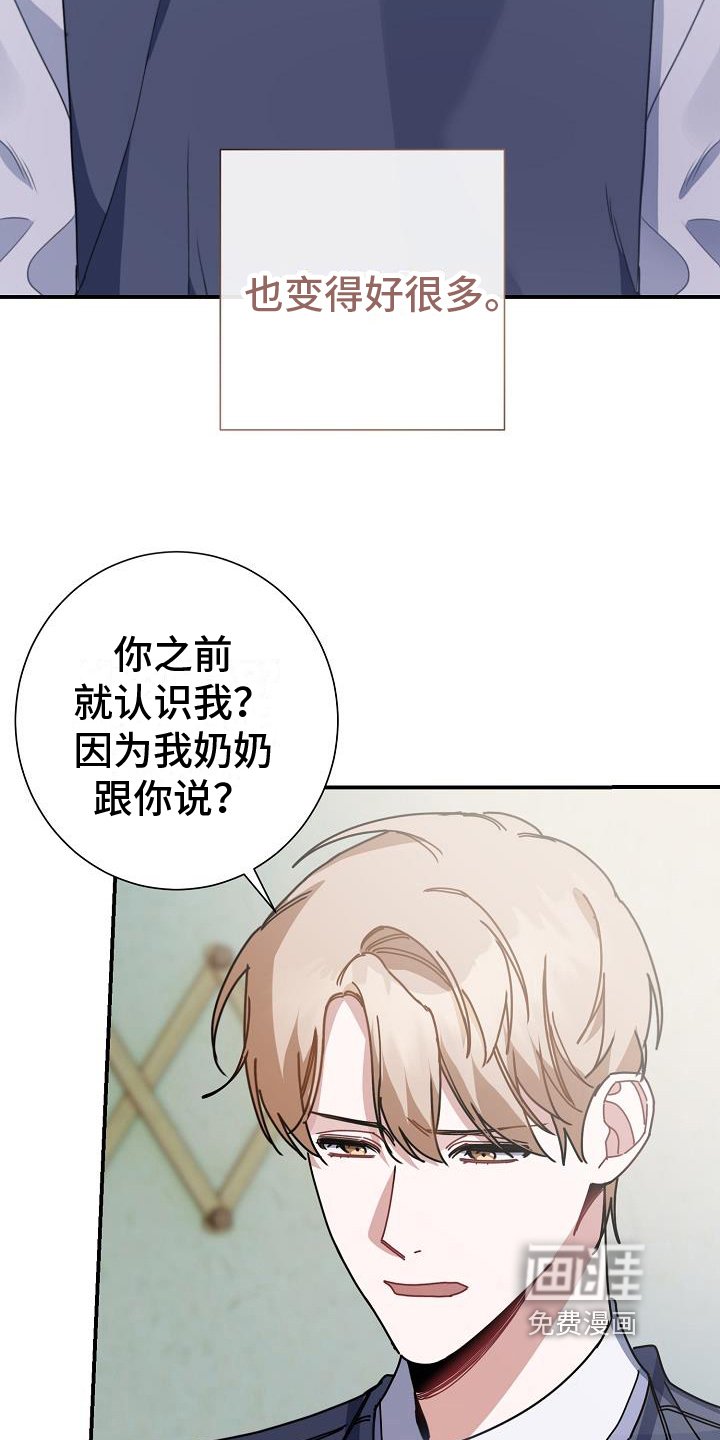 第13章：粉丝