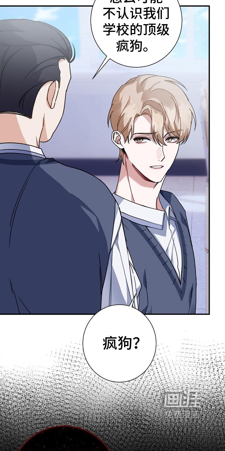 第20章：找麻烦