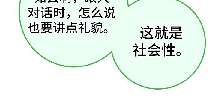 第24章：聊天