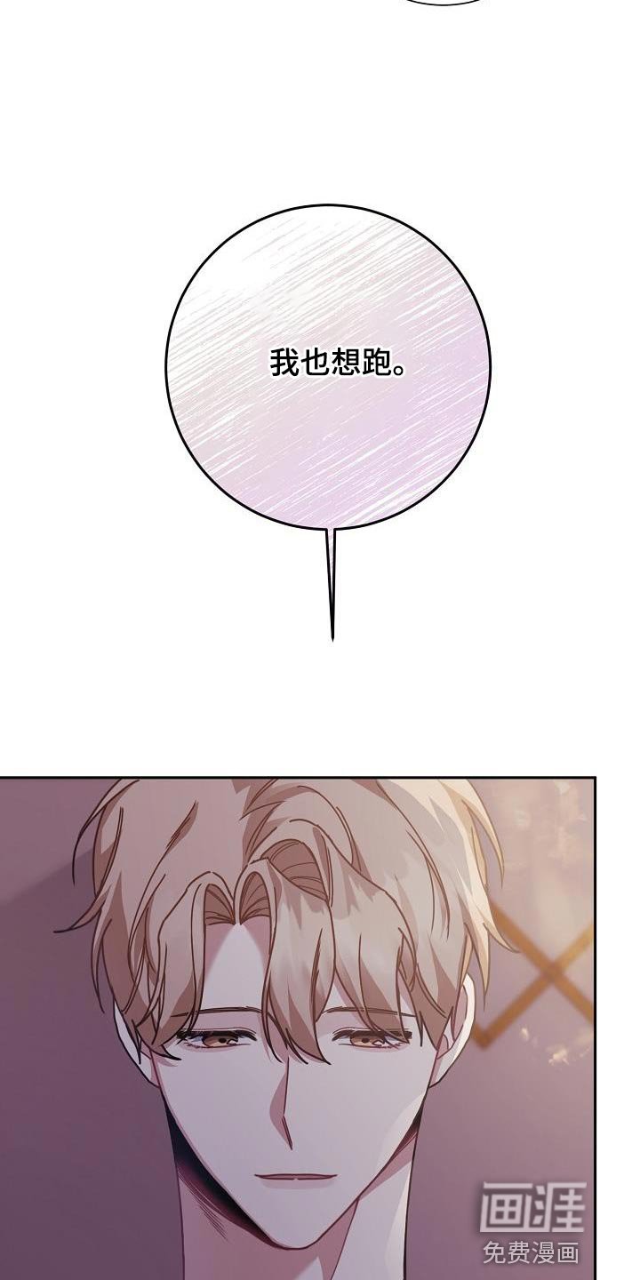 第42章：比较信任