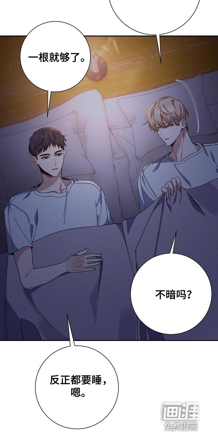 第42章：比较信任