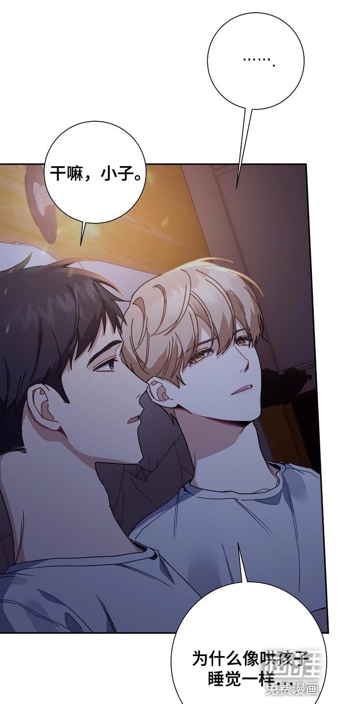 第42章：比较信任