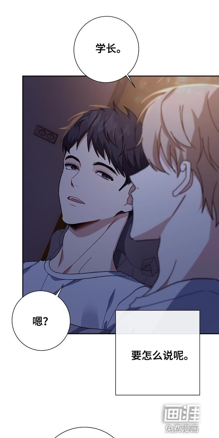 第42章：比较信任