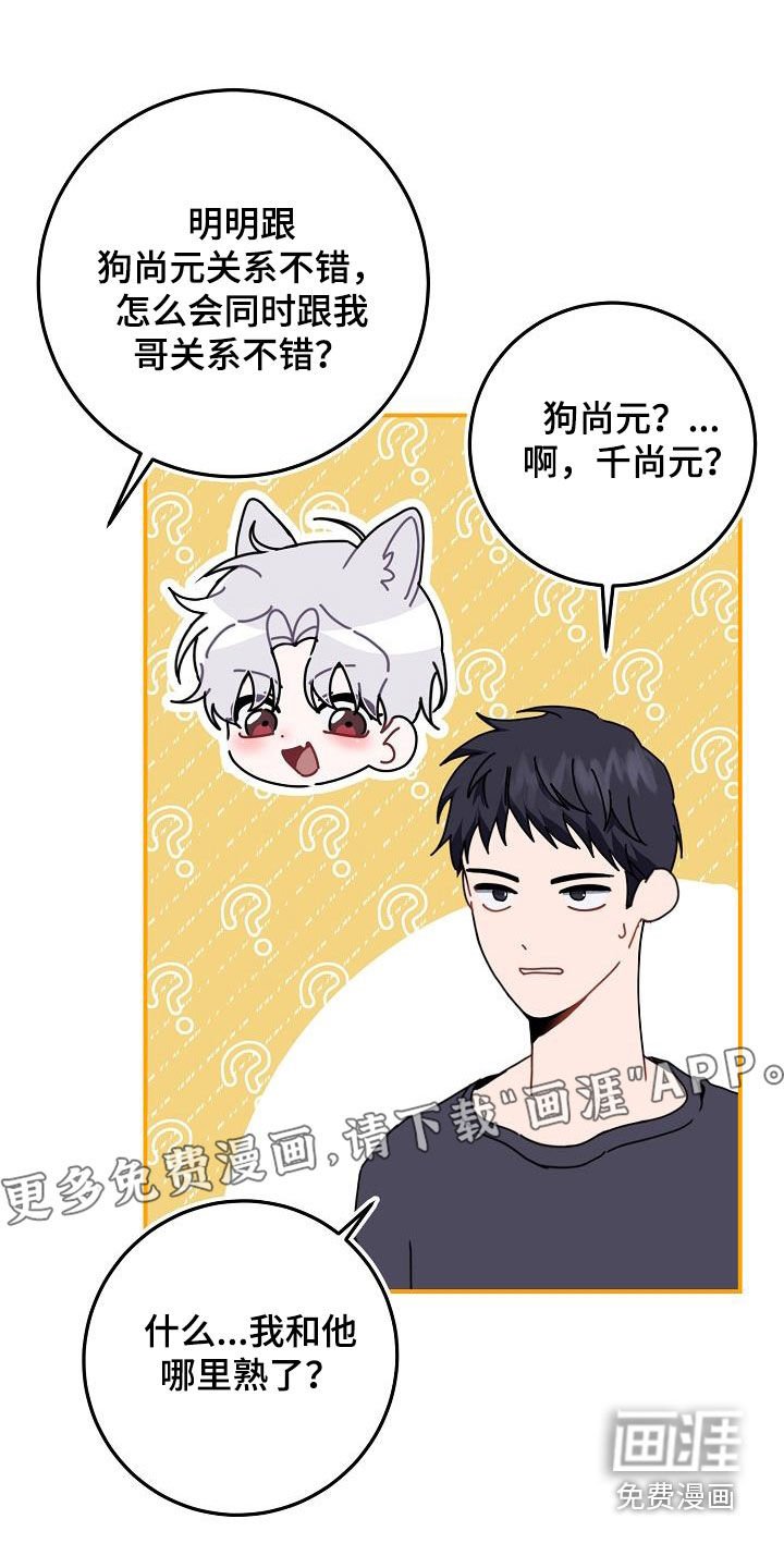 第44章：搭桥牵线