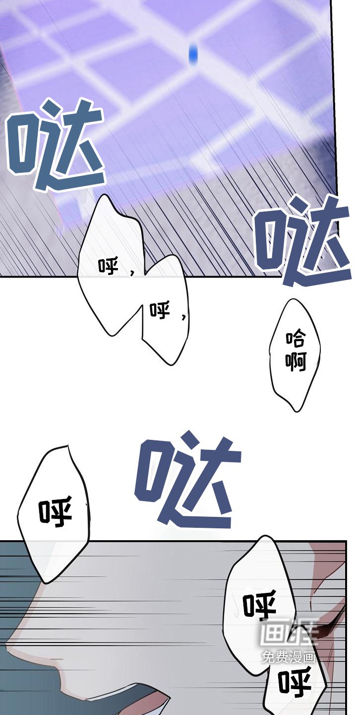 第5章：奔跑