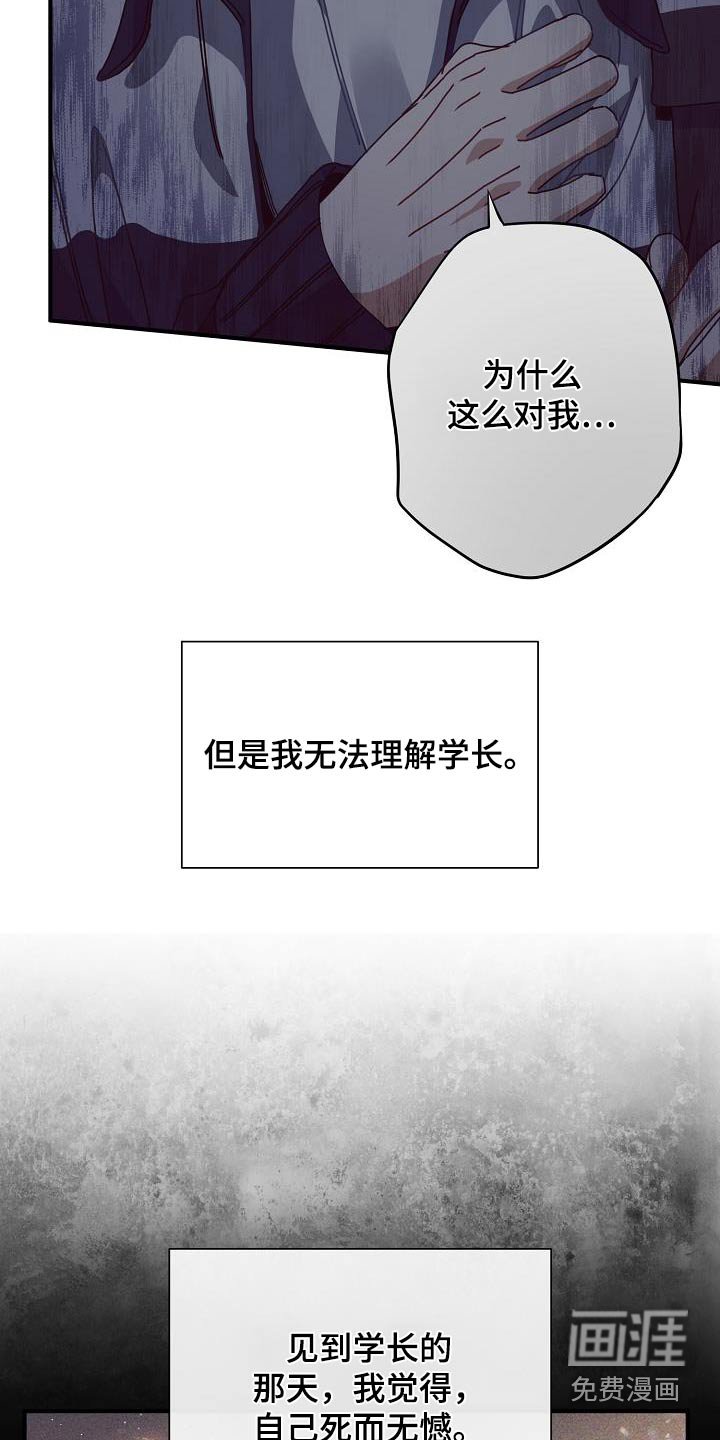 第57章：对我那么好