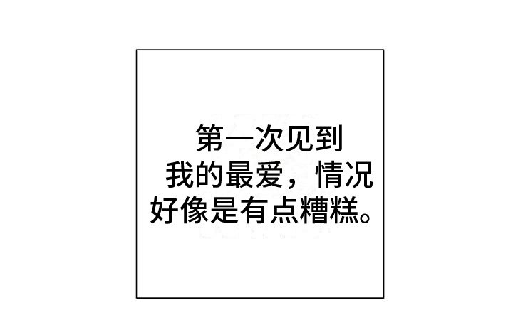 第8章：借口