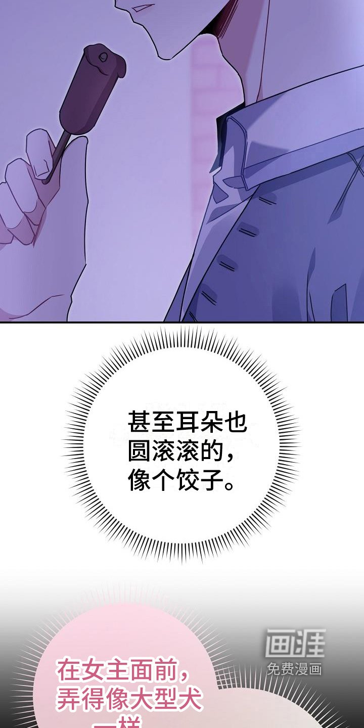 第9章：印象