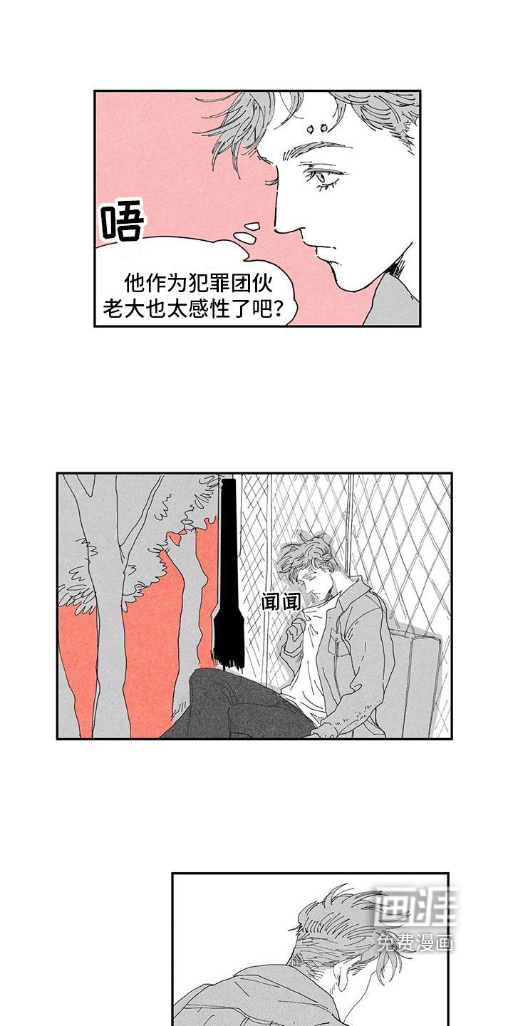 第10章：经历