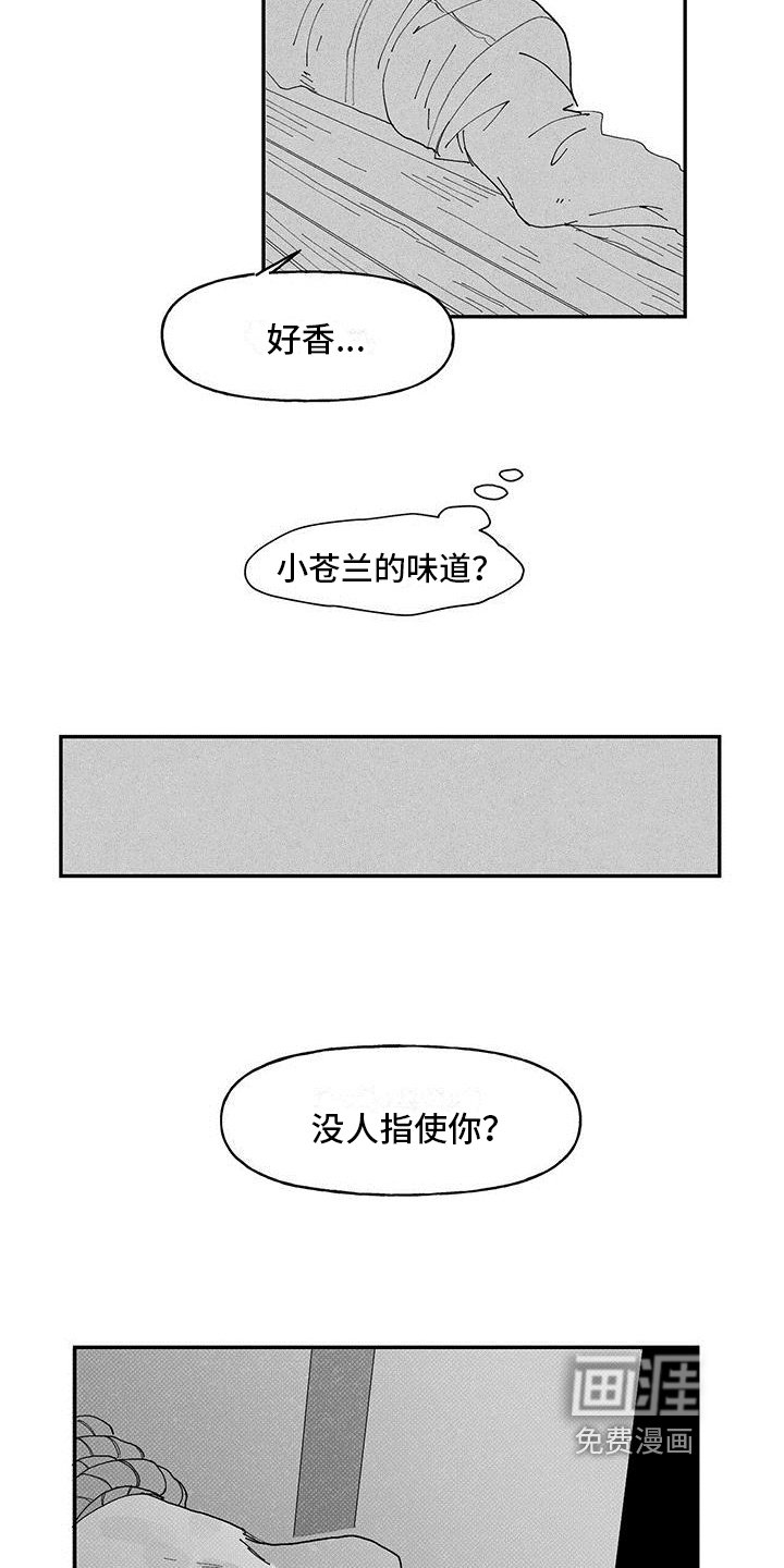 第10章：经历