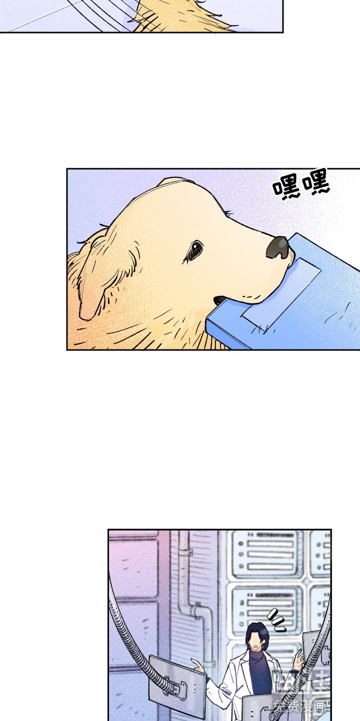 第1章：新发现