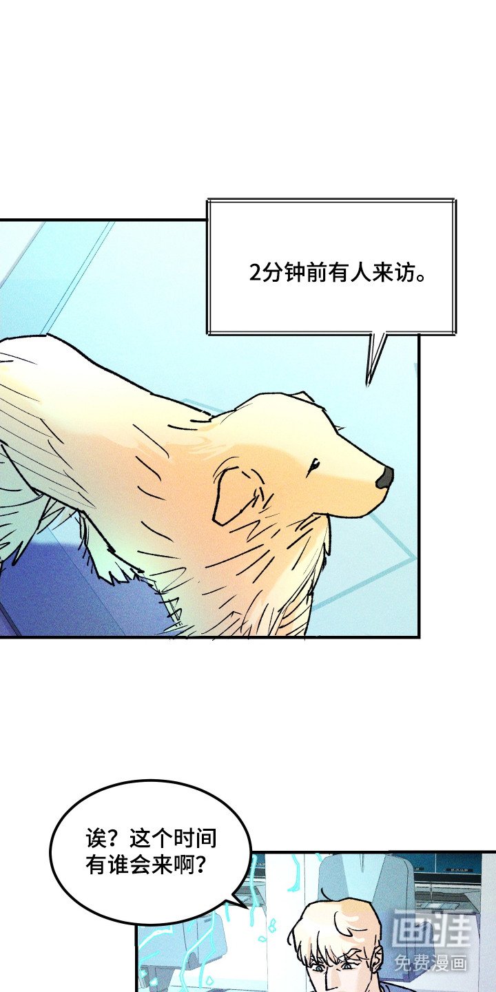 第11章：眼神