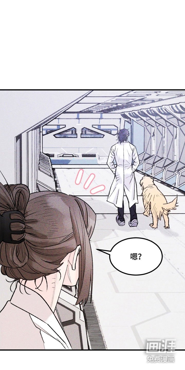 第25章：最终武器