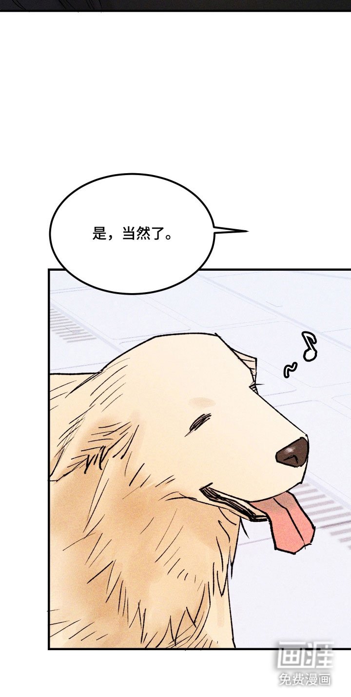 第25章：最终武器