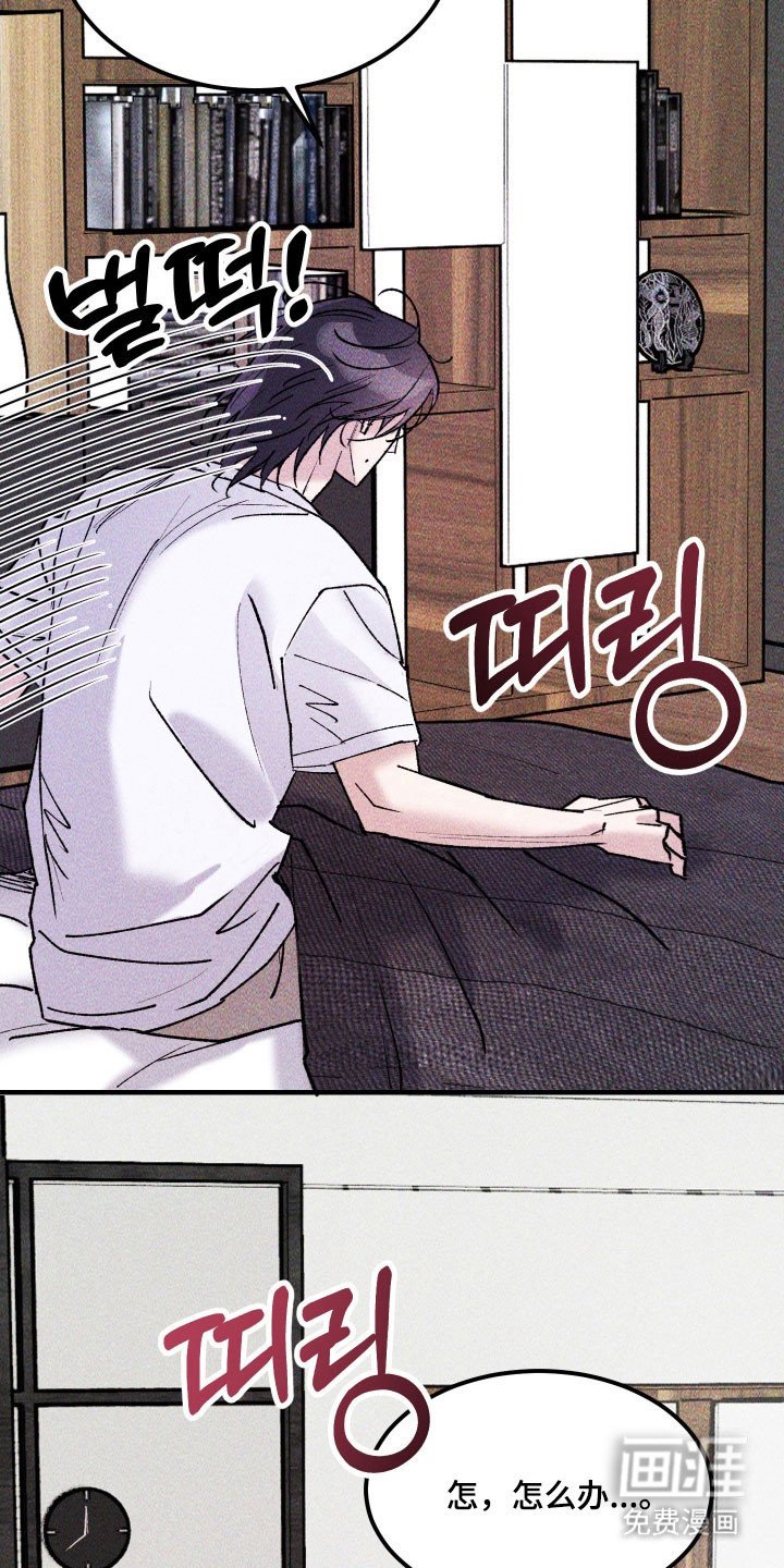 第32章：安抚下来