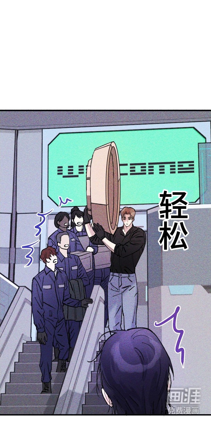 第33章：她的点子