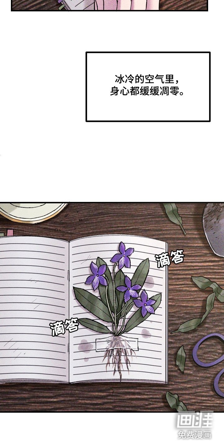 第6章：想念