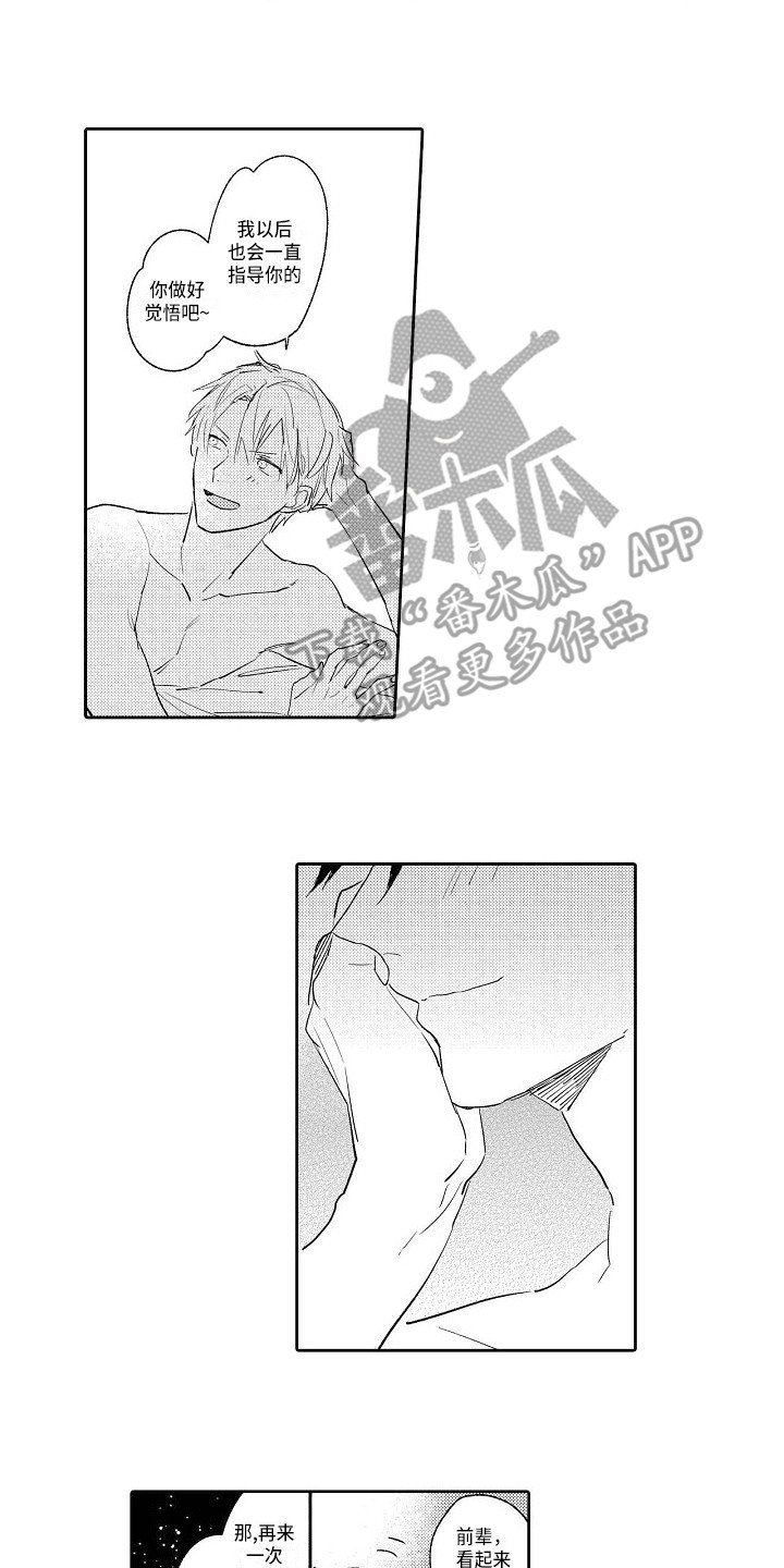 第20章：恢复平静