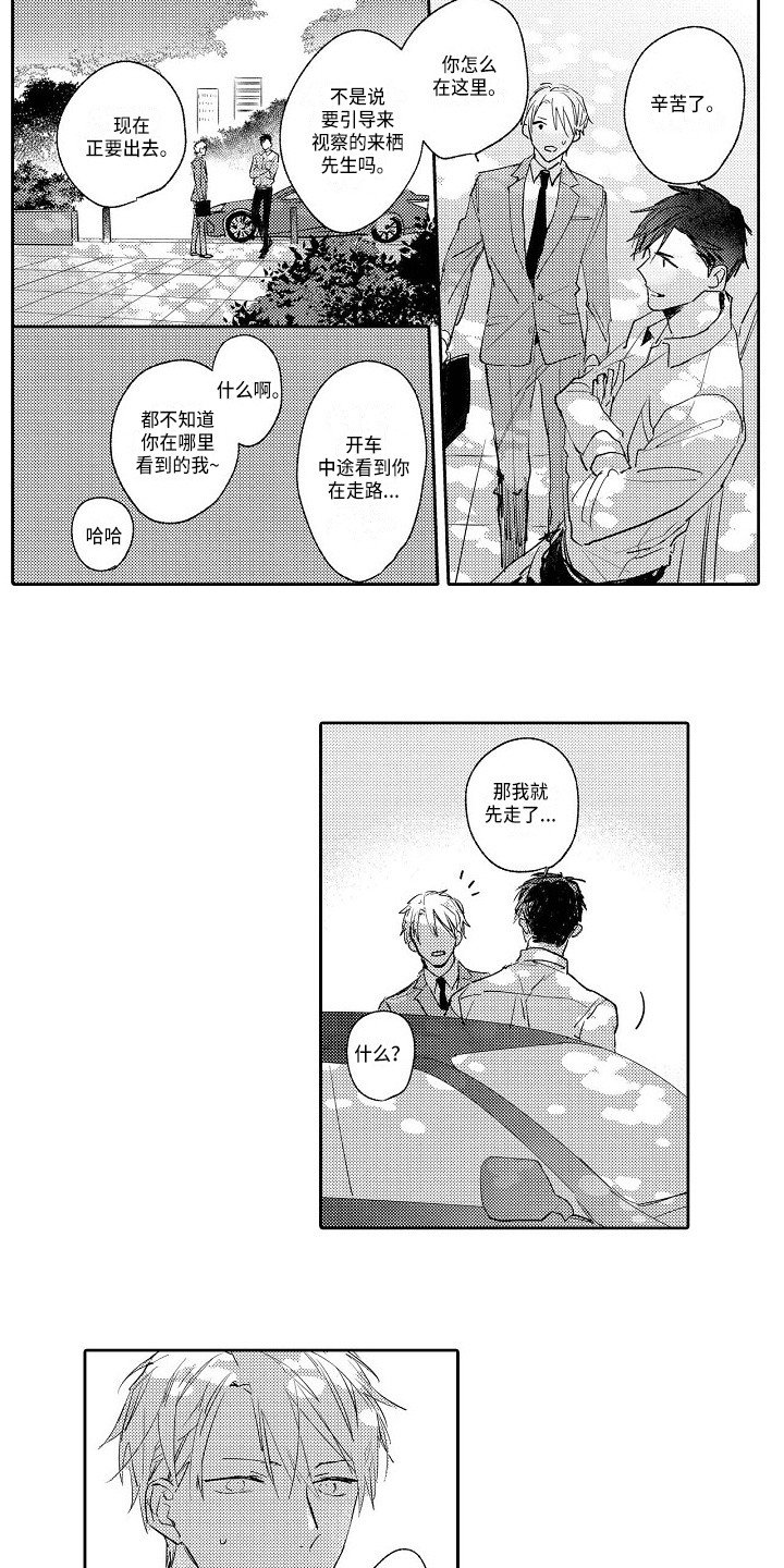 第20章：恢复平静