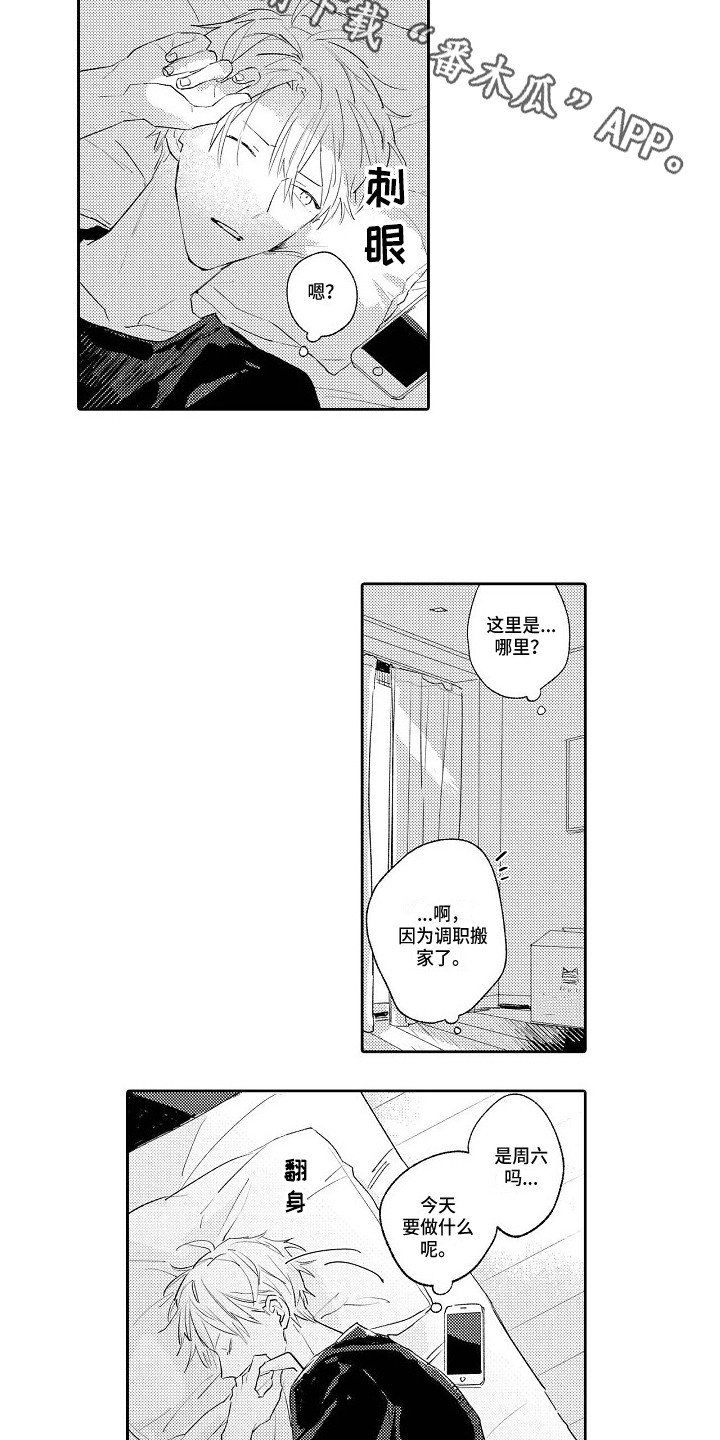 第20章：恢复平静