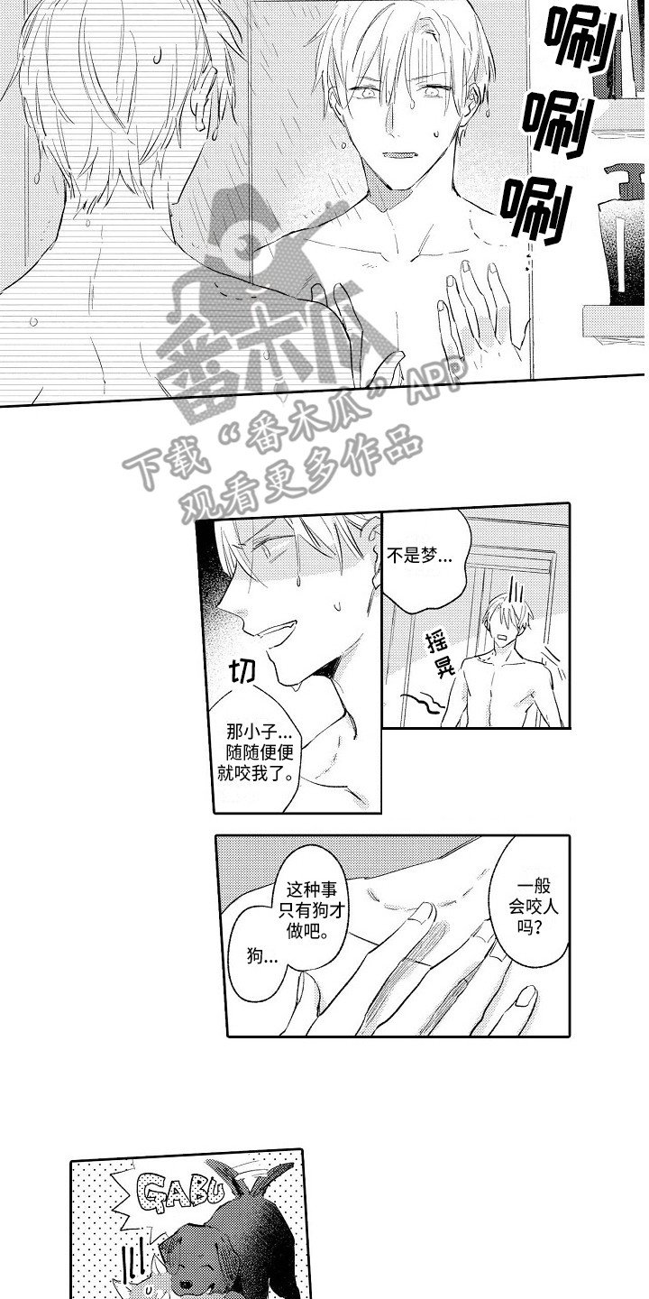 第5章：和平常一样