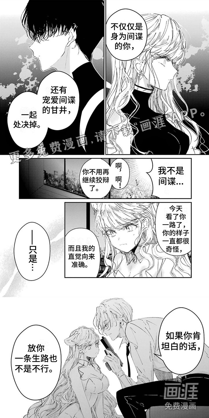 第14章：逼问