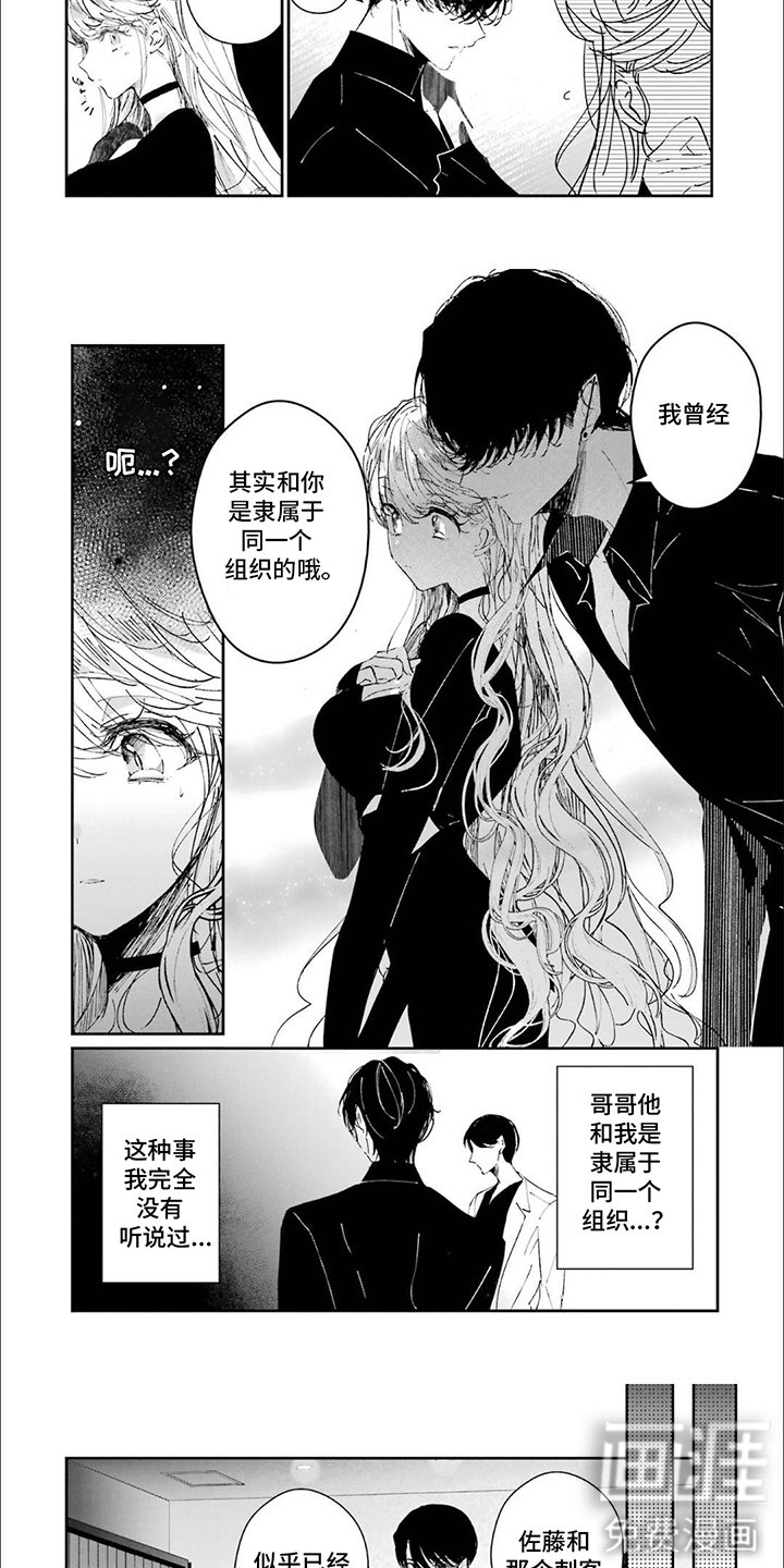 第19章：纯洁如白纸