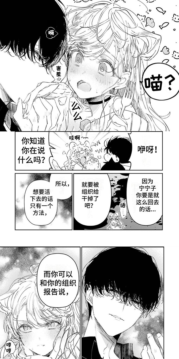 第2章：求婚