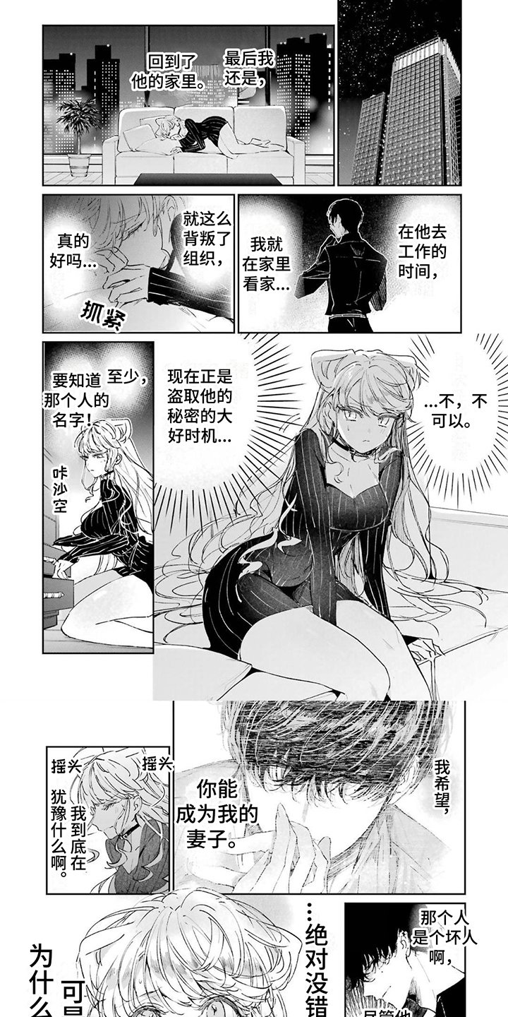 第3章：买衣服