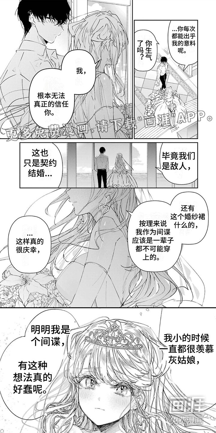 第5章：灰姑娘