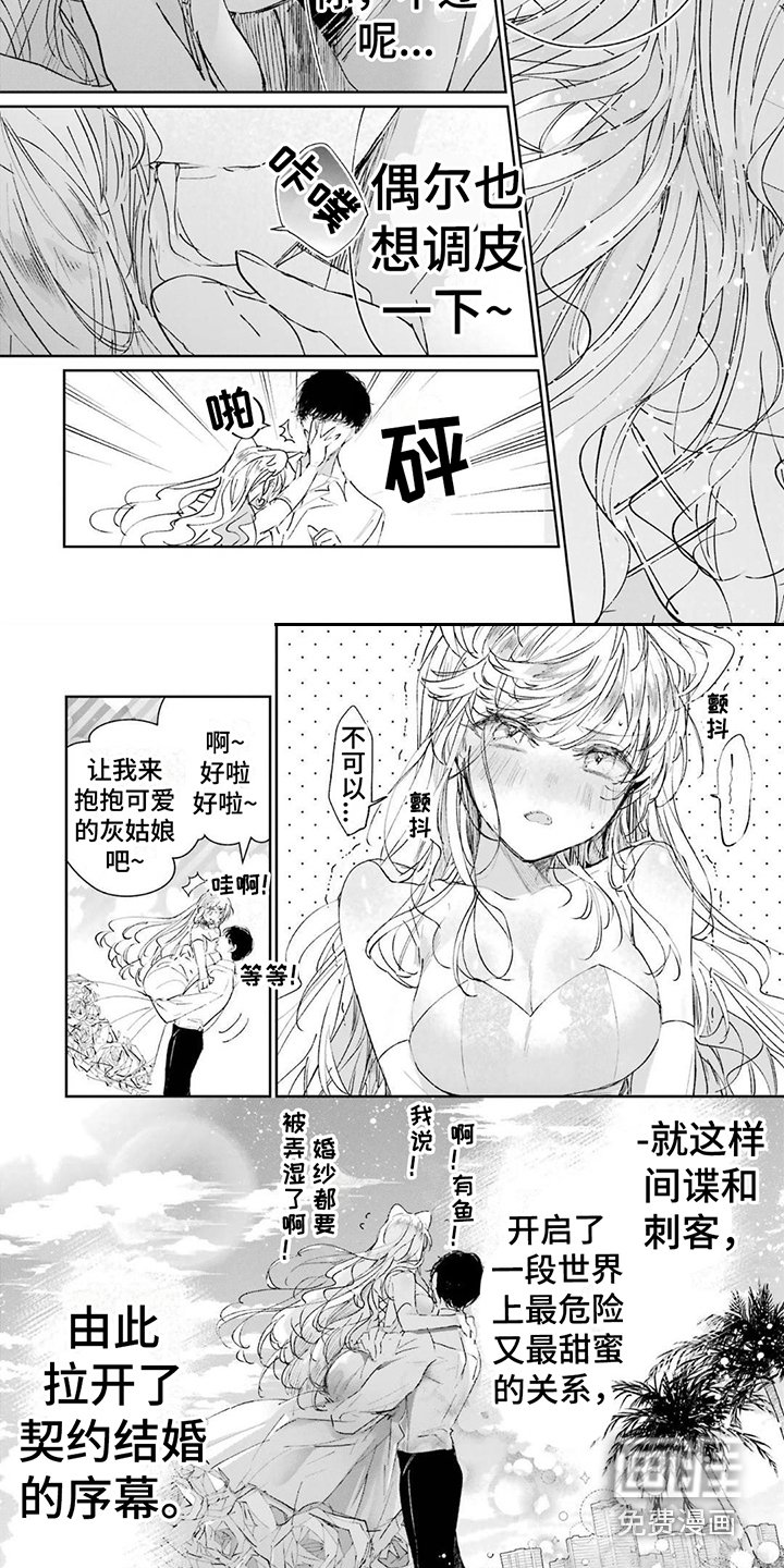 第5章：灰姑娘