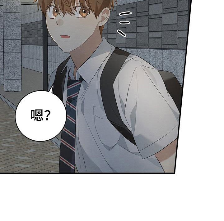 第11章：针锋相对