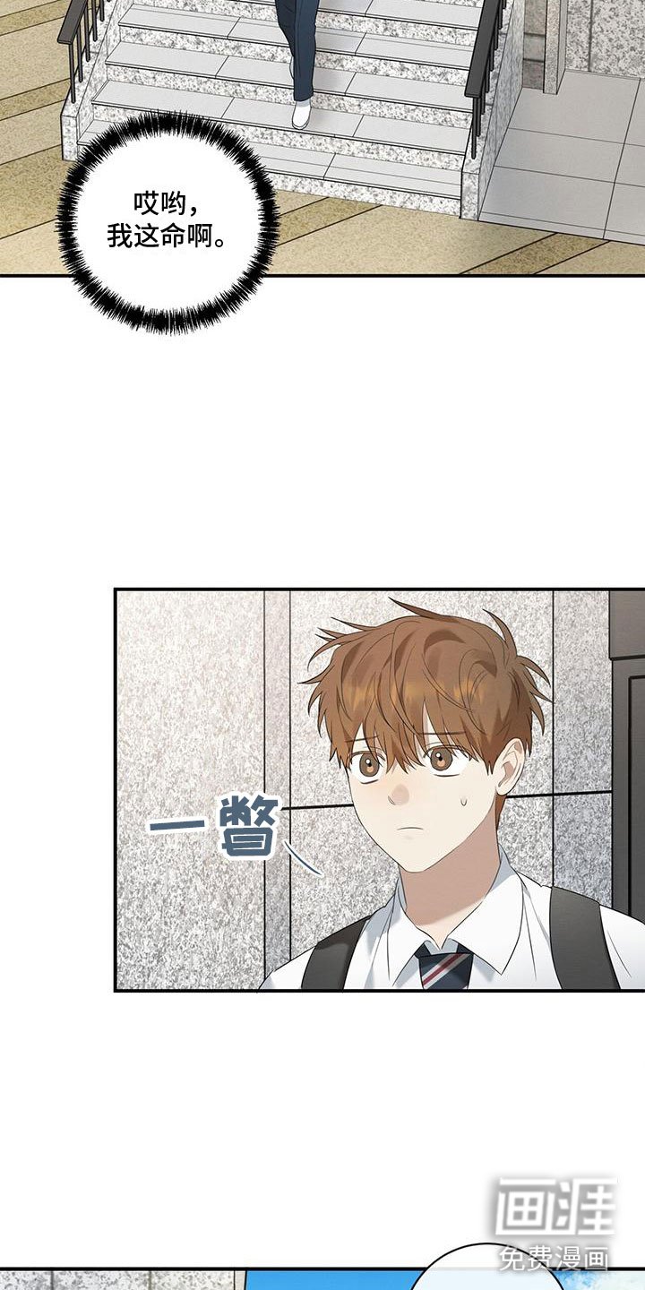 第11章：针锋相对