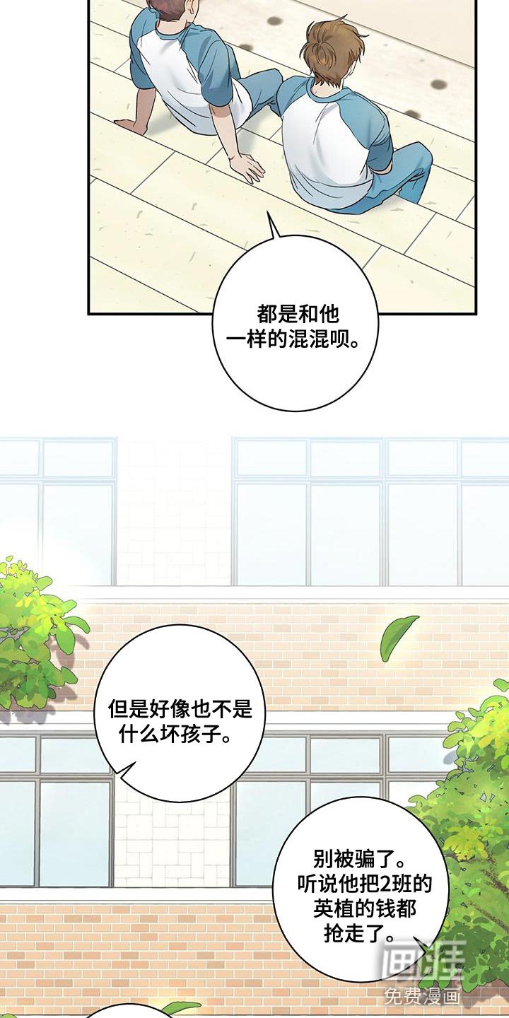 第15章：为什么欺负