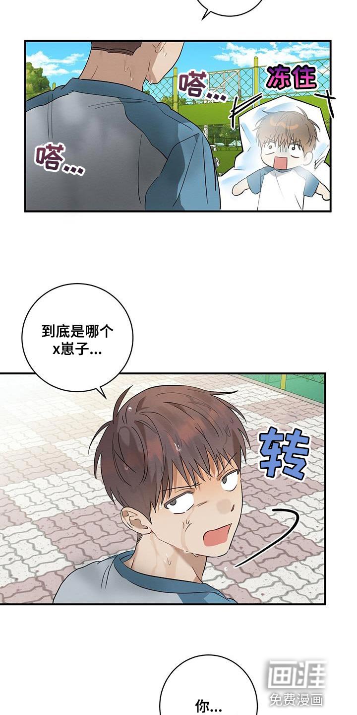 第15章：为什么欺负