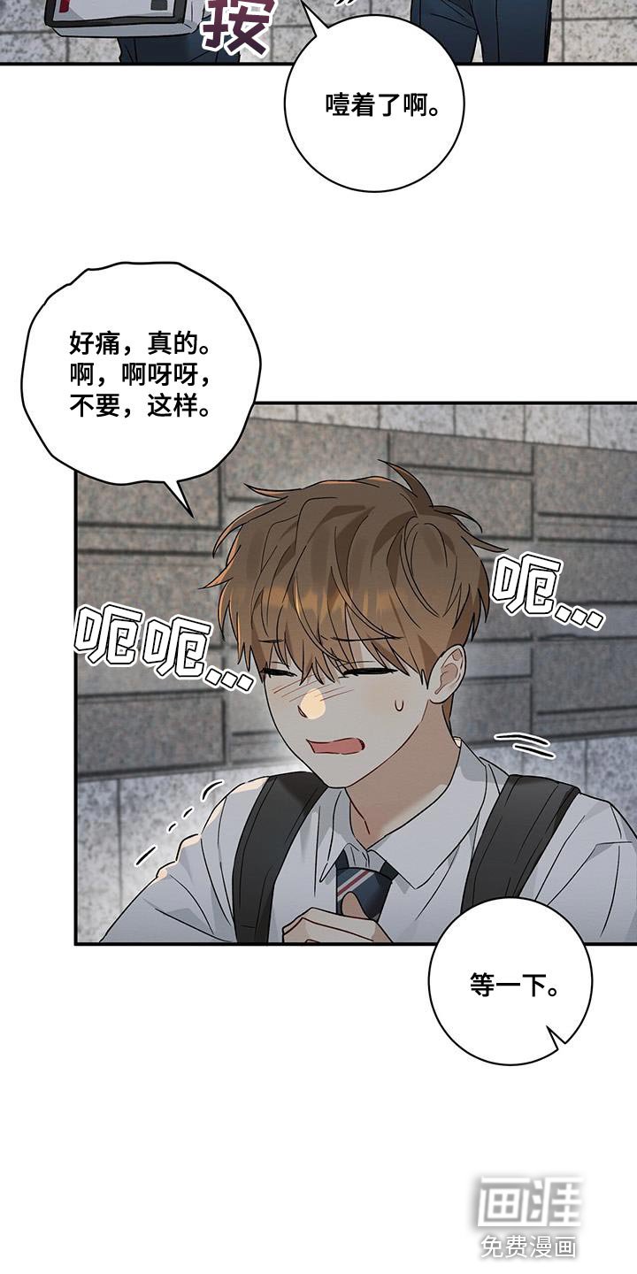 第19章：傻瓜