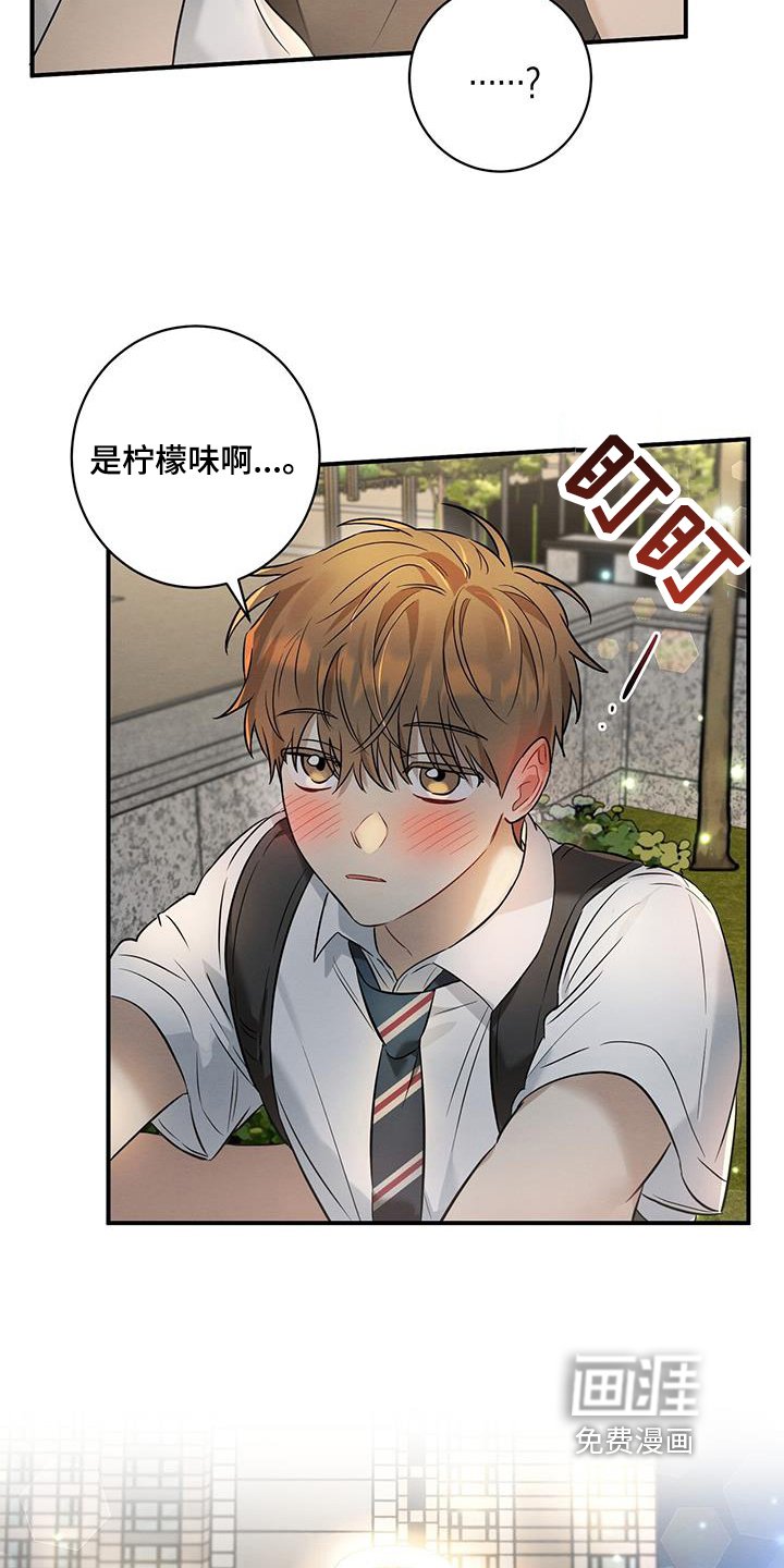 第30章：猜测