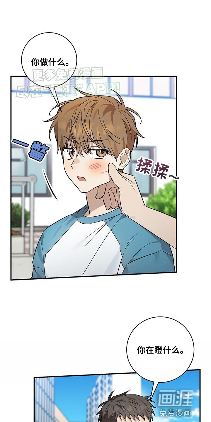 第61章：保护