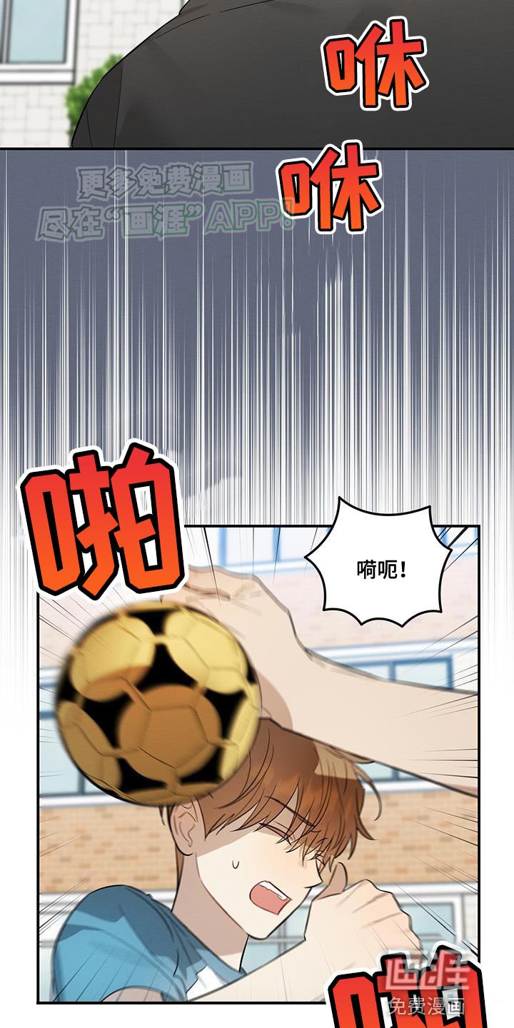 第61章：保护