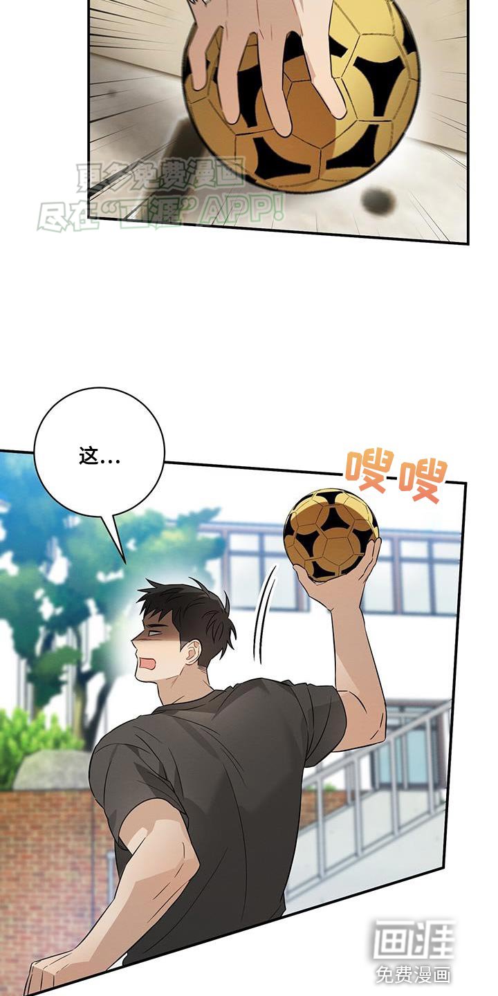 第61章：保护